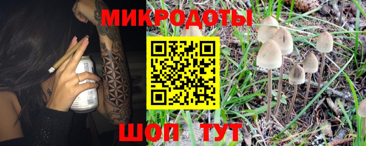 Галлюциногенные грибы Psilocybine cubensis Сегежа