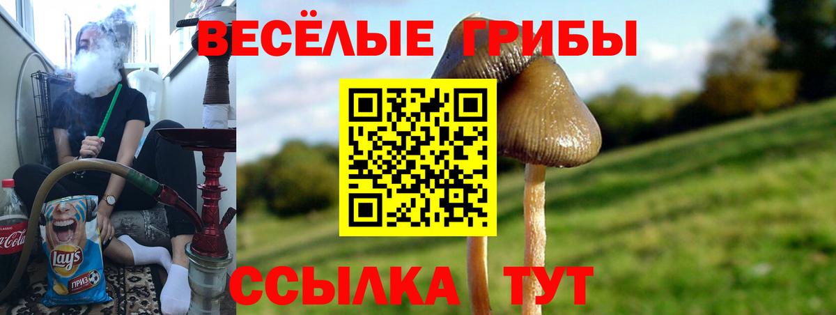 Псилоцибиновые грибы MAGIC MUSHROOMS  Вход с VPN  Сегежа 